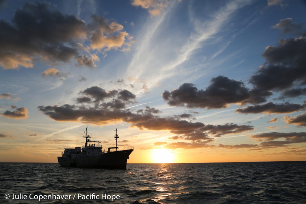 Pacific Hope at Sunset